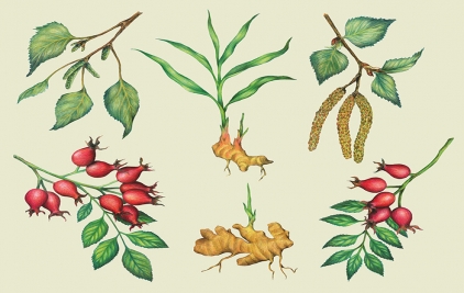 插畫(huà)風(fēng)格的植物營(yíng)養(yǎng)水包裝設(shè)計(jì)案例